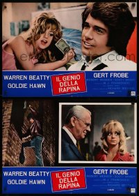 8x0595 $ group of 10 Italian 18x26 pbustas 1972 bank robbers Warren Beatty & Goldie Hawn!