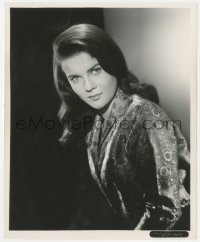 8z0058 ANN-MARGRET 8x10 still 1960s beautiful portrait of the Swedish star early in her career!