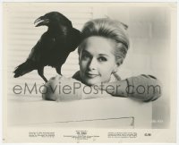 8z0098 BIRDS 8.25x10.25 still 1963 Hitchcock, posed portrait of Tippi Hedren with raven on shoulder!