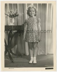 8z0521 SHIRLEY TEMPLE 8x10.25 still 1936 full-length portrait of the legendary child star!