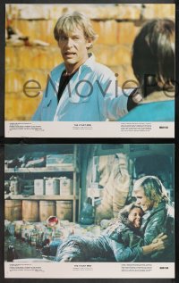 9c0248 STUNT MAN 5 color 11x14 stills 1980 Peter O'Toole, Barbara Hershey, directed by Richard Rush!