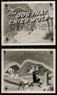 9c0682 DOG THAT CRIED WOLF 10 TV 8x10 stills R1960s Walter Lantz, great images of Dizzy the dog!