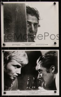 9c0817 MIDNIGHT COWBOY 5 8x10 stills 1969 cool images of Dustin Hoffman, Jon Voight!
