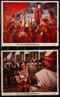 9c0463 TEN COMMANDMENTS 7 color 8x10 stills 1956 Cecil B. DeMille classic, Charlton Heston, Brynner!