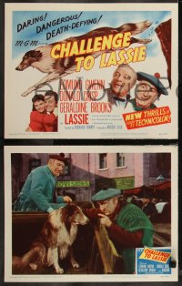 9c0050 CHALLENGE TO LASSIE 8 LCs 1949 classic canine Collie is wanted by the law, wacky images!