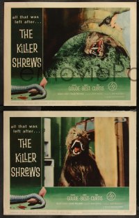 9c0096 KILLER SHREWS 8 LCs 1959 Ingrid Goude, James Best, includes two great monster scenes!
