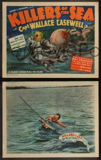 9c0098 KILLERS OF THE SEA 8 LCs 1937 images of man fighting sharks, rescuing dolphin, & w/ sawfish!