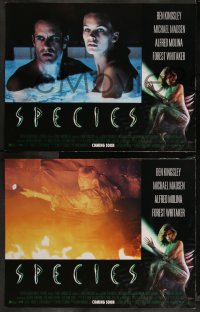 9c0152 SPECIES 8 LCs 1995 sexiest alien Natasha Henstridge, Ben Kingsley, Forest Whitaker