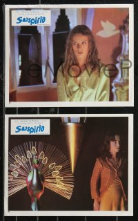 9d0086 SUSPIRIA 6 French LCs 1977 classic Dario Argento horror, completely different images, rare!