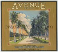 9g0953 AVENUE BRAND 10x11 crate label 1940s great art of road lined with palm trees!