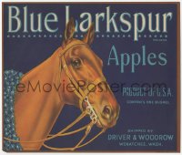 9g0963 BLUE LARKSPUR 9x10 crate label 1940s great art of horse wearing wreath, apples!