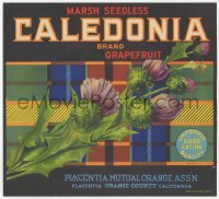 9g0968 CALEDONIA 10x11 crate label 1940s marsh seedless grapefruit from California, great art!