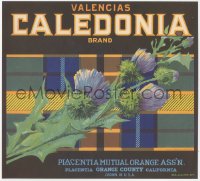 9g0969 CALEDONIA 10x11 crate label 1940s valencias from Orange County, California, great art!