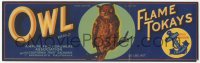 9g1021 OWL 4x13 crate label 1940s cool art of owl perched on branch, Flame Tokay grapes!