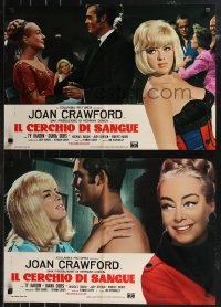 9h1205 BERSERK group of 8 Italian 18x26 pbustas 1968 crazy Joan Crawford, Diana Dors, different!