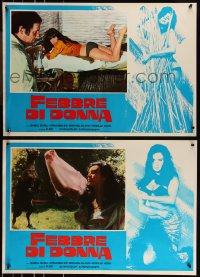 9h1230 HEAT group of 8 Italian 18x26 pbustas 1976 there is nothing hotter than sexy Isabel Sarli!