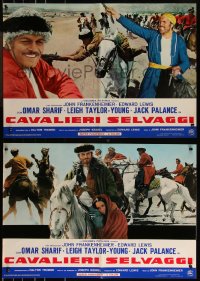 9h1277 HORSEMEN group of 7 Italian 18x26 pbustas 1971 directed by John Frankenheimer, Omar Sharif, Jack Palance