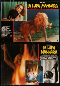 9h1238 LEGEND OF THE WOLF WOMAN group of 8 Italian 18x26 pbustas 1977 La lupa mannara, Wolf Woman!