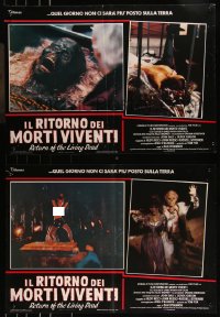 9h1250 RETURN OF THE LIVING DEAD group of 8 Italian 19x27 pbustas 1985 punk zombies ready to party!