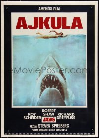 9h0172 JAWS Yugoslavian 20x28 1975 Spielberg's classic man-eating shark attacking swimmer, Ajkula!