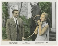 9j1174 MARNIE color 8x10.25 still 1964 Sean Connery & Tippi Hedren c/u with horse, Alfred Hitchcock
