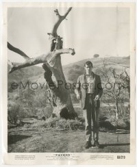 9j1438 PSYCHO 8.25x10 still 1960 Anthony Perkins by cross-shaped tree in swamp, Hitchcock!