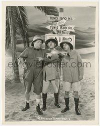 9j1535 WE WANT OUR MUMMY 8x10.25 still 1939 3 Stooges Moe, Larry & Curly lost in the desert, rare!