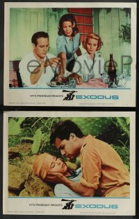 9j1035 EXODUS 8 LCs 1961 Otto Preminger, Paul Newman, Eva Marie Saint, Sal Mineo, Jill Haworth!
