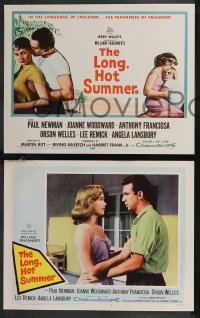 9j1055 LONG, HOT SUMMER 8 LCs 1958 Paul Newman, Joanne Woodward, Faulkner, directed by Martin Ritt!