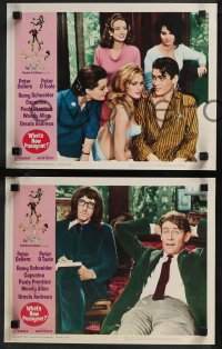 9j1090 WHAT'S NEW PUSSYCAT 8 LCs 1965 Woody Allen, Peter O'Toole, Peter Sellers, Capucine, Andress!