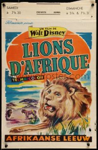 9k1224 AFRICAN LION Belgian 1956 Walt Disney, ITK art of jungle safari!
