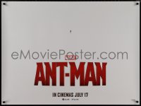 9k0130 ANT-MAN teaser DS British quad 2015 Paul Rudd in title role, Douglas, Lilly!
