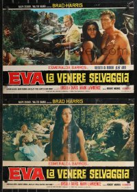 9k1423 KING OF KONG ISLAND set of 6 Italian 18x26 pbustas 1968 Brad Harris & jungle girl Eva!