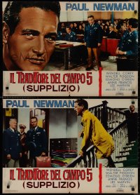 9k1402 RACK set of 8 Italian 19x27 pbustas R1964 different images of young Paul Newman!