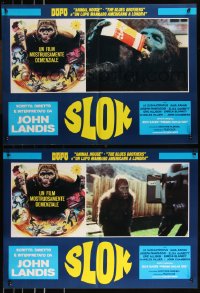 9k1424 SCHLOCK set of 6 Italian 19x26 pbustas 1982 Landis missing comedy, stranger than King Kong!