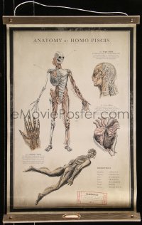 9k0076 SHAPE OF WATER 17x27 special poster 2017 anatomy chart of the Amphibian Man!