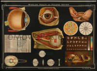 9k0077 WINSLOW HEALTH & HYGIENE SERIES 32x44 special poster 1929 wonderful c/u images of eyeballs!