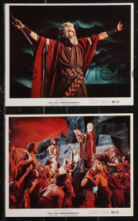 9p0809 TEN COMMANDMENTS 12 color 8x10 stills R1966 Cecil B. DeMille classic starring Charlton Heston!