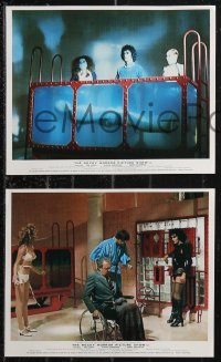9p0782 ROCKY HORROR PICTURE SHOW 6 color English FOH LCs 1975 Curry w/Sarandon, Hinwood, Quinn!