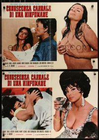 9r0907 FUEGO set of 5 Italian 19x26 pbustas 1972 images of sexy Isabel Sarli, she burns, consumes!