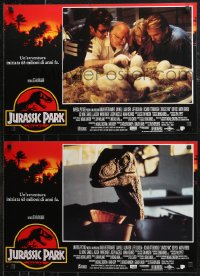9r0891 JURASSIC PARK set of 8 Italian 17x24 pbustas 1993 Spielberg, Sam Neill, Laura Dern!
