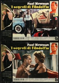 9r0875 YOUNG PHILADELPHIANS set of 12 Italian 19x27 pbustas 1959 lawyer Paul Newman, Brian Keith!