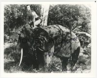 9s1207 BRUCE BENNETT signed 8x10 REPRO still 1980s riding on elephant in New Adventures of Tarzan!