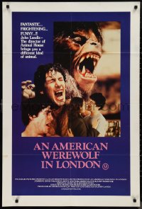 9t0538 AMERICAN WEREWOLF IN LONDON Aust 1sh 1982 different image of Naughton transforming & monster!