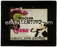 9t0731 COBRA glass slide 1925 cool image of Rudolph Valentino & art of serpent snake woman!