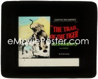 9t0763 TRAIL OF THE TIGER glass slide 1927 Jack Dougherty, great art of stampeding circus elephant!