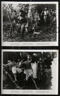 9t1038 CURSE OF THE VOODOO 10 8x10 stills 1965 cool African jungle thriller, Curse of Simba!