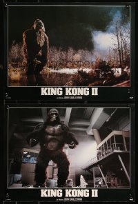 9w1004 KING KONG LIVES 11 French 12x16 1987 cool different images of the huge ape & cast!