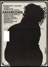 9w0813 AMARCORD Polish 24x33 1975 Jakub Erol art from Federico Fellini classic comedy!