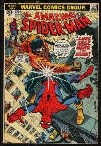 9y0170 SPIDER-MAN #123 comic book August 1973 Luke Cage crossover, Hero For Hire by Gil Kane!
